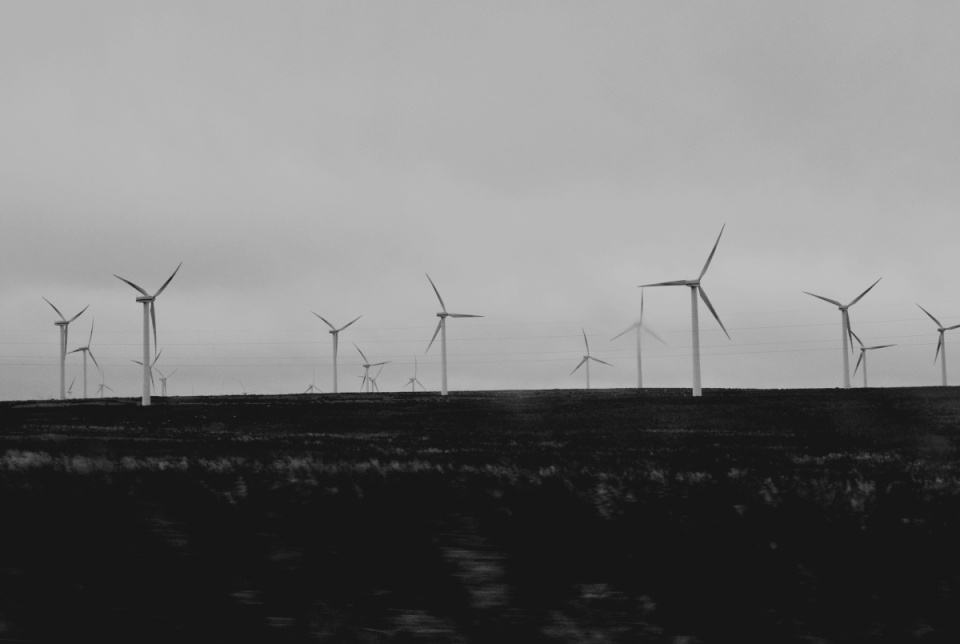 Catch up tomorrow x... | afishinapot | Blipfoto Catch up tomorrow x... | afishinapot