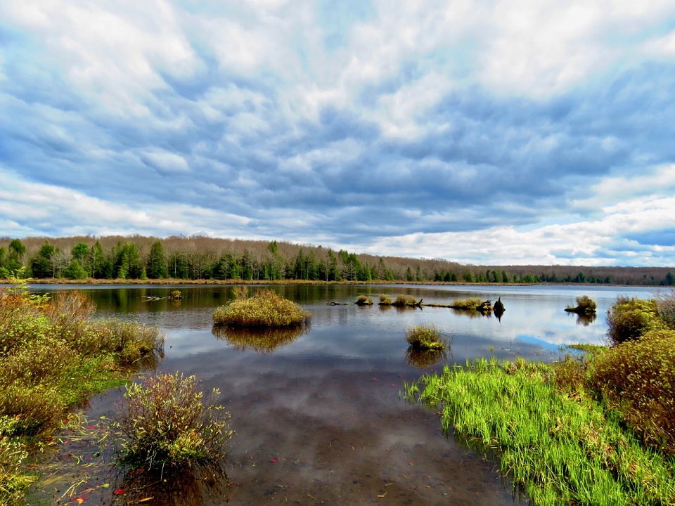 Black Moshannon Under Amazing Skies GirlWithACamera Blipfoto