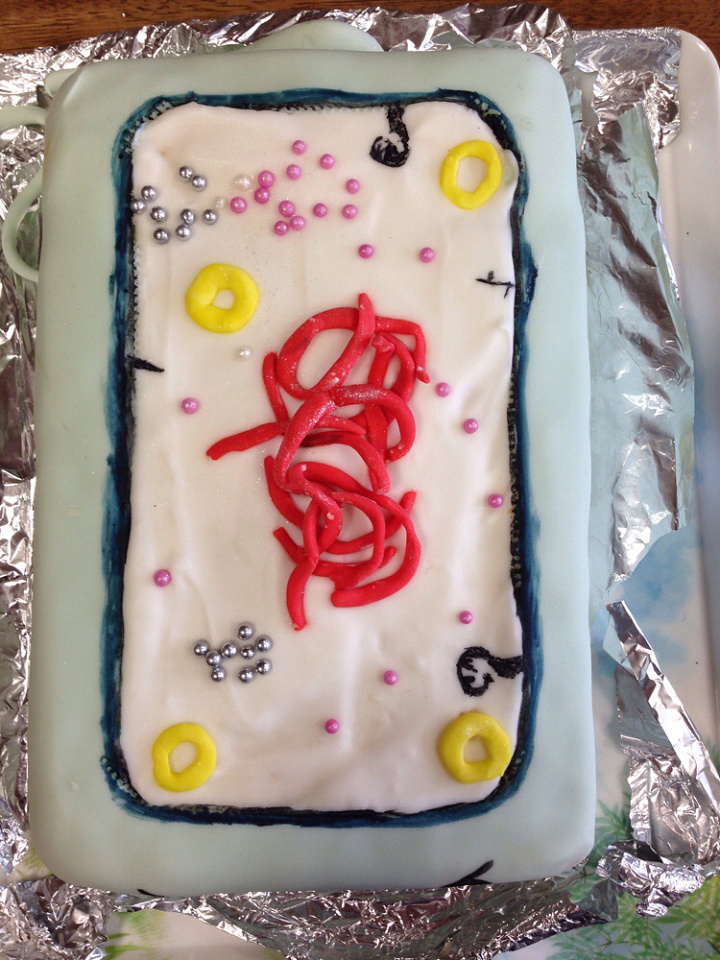 3d-plant-cell-cake-3 | For a step-by-step 