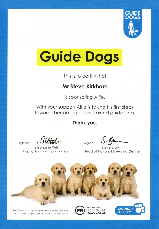 Guide clearance dog day