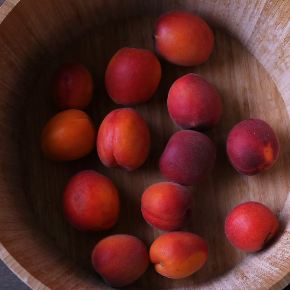 Red Apricots carolinav Blipfoto