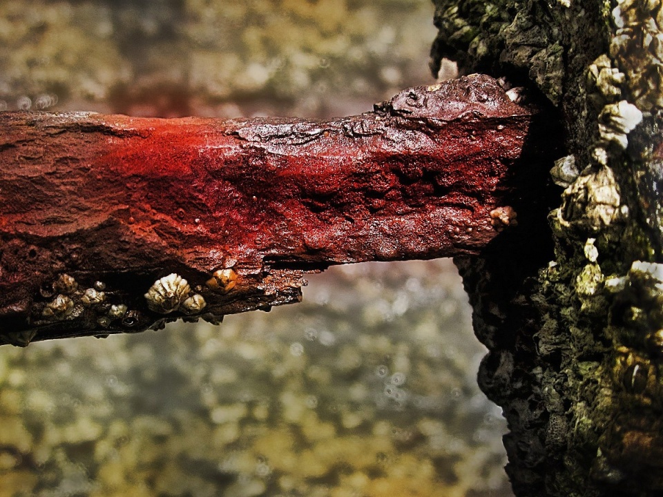 The Bottom Rung | gen2 | Blipfoto