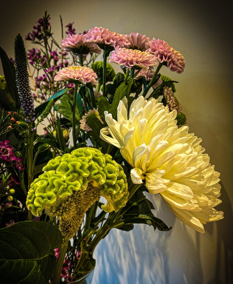 surprise-bunch-apollofly-blipfoto