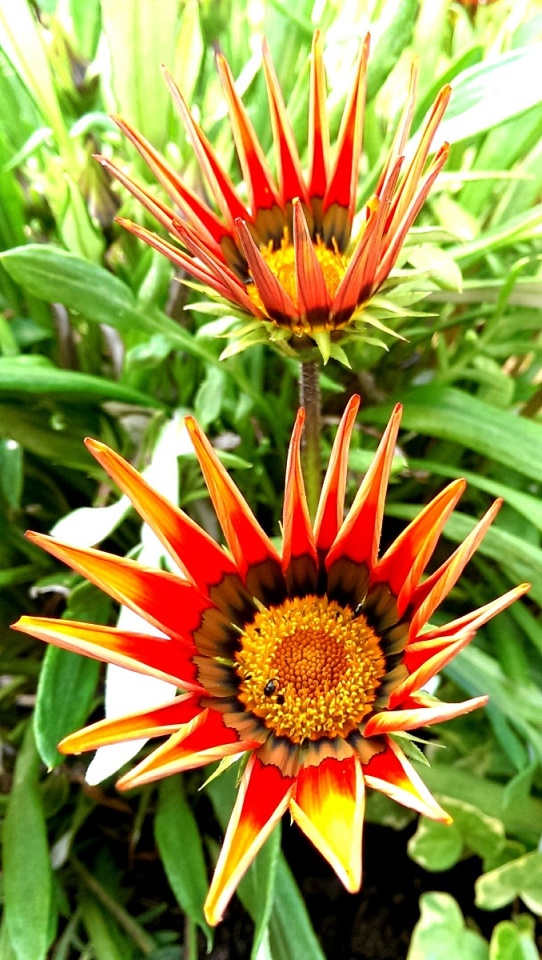 Easy like Sunday....