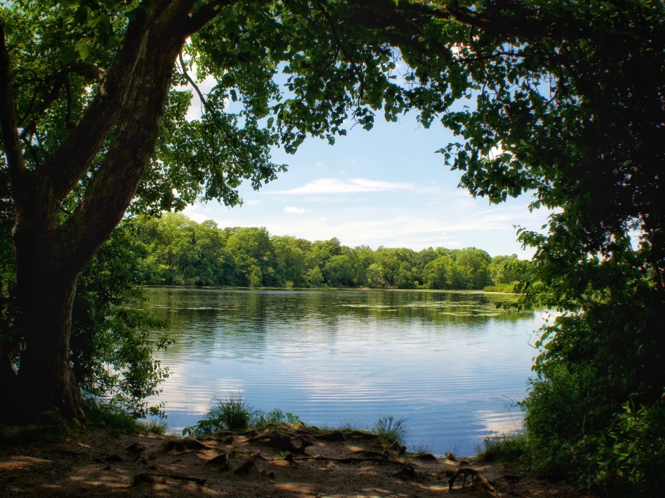 Lunch at Yaphank Lake Evie11 Blipfoto