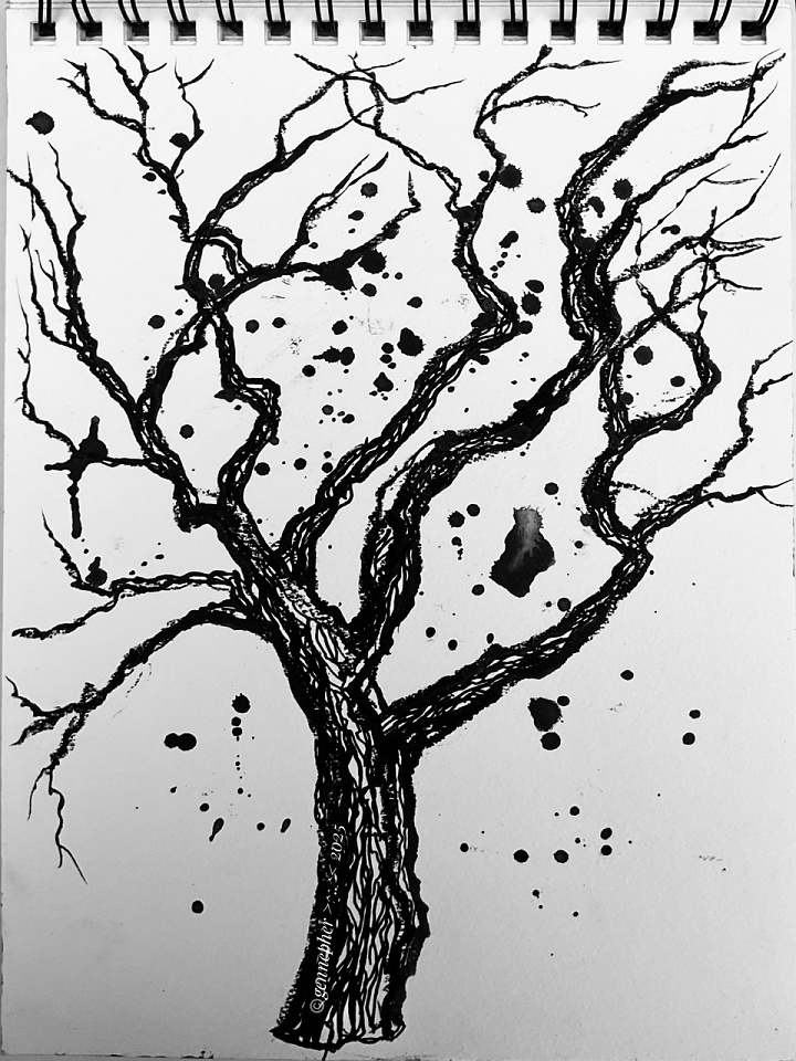 www.blipfoto.com