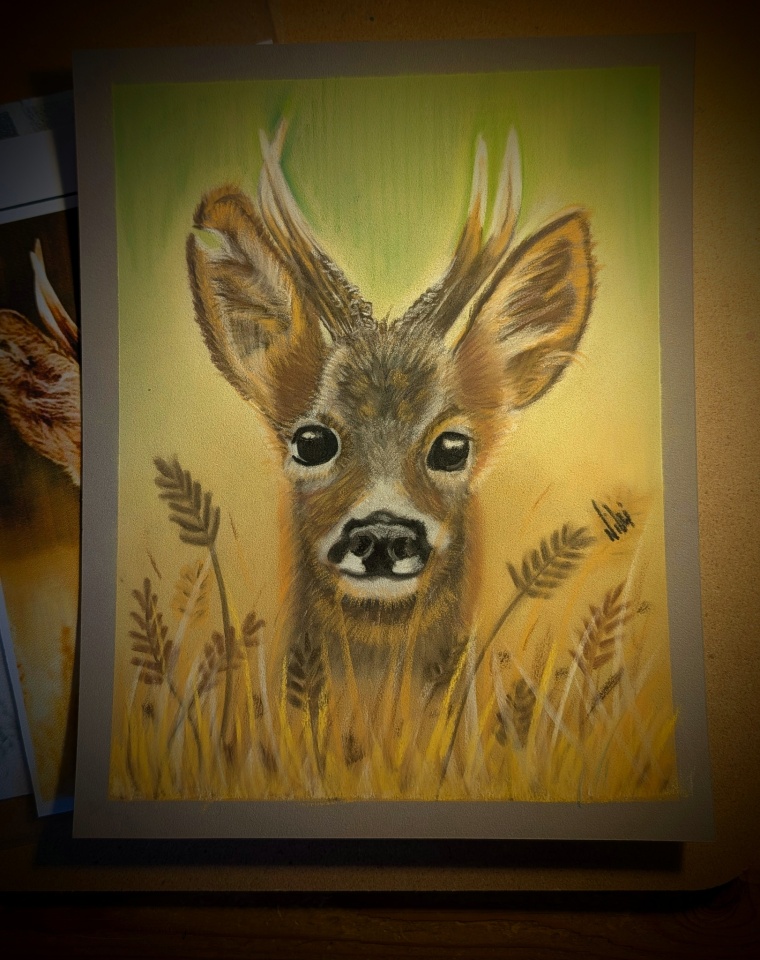 Roe Deer | TrikiNixi | Blipfoto