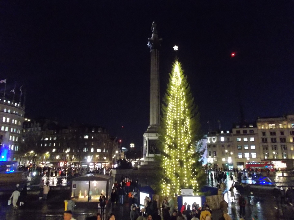 Trafalgar Square Christmas Tree Redberry Blipfoto