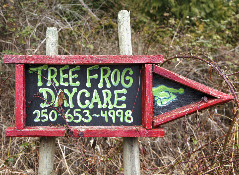Tree Frog Daycare FotoPlay Blipfoto