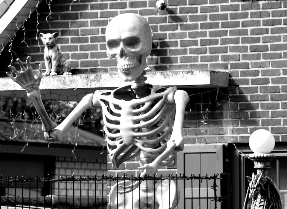 Creepy Pkln Blipfoto creepy-pkln-blipfoto