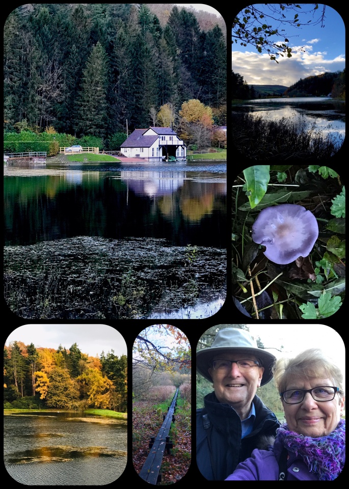 A WALK ROUND LAKE YSCEIFIOG Blipfoto