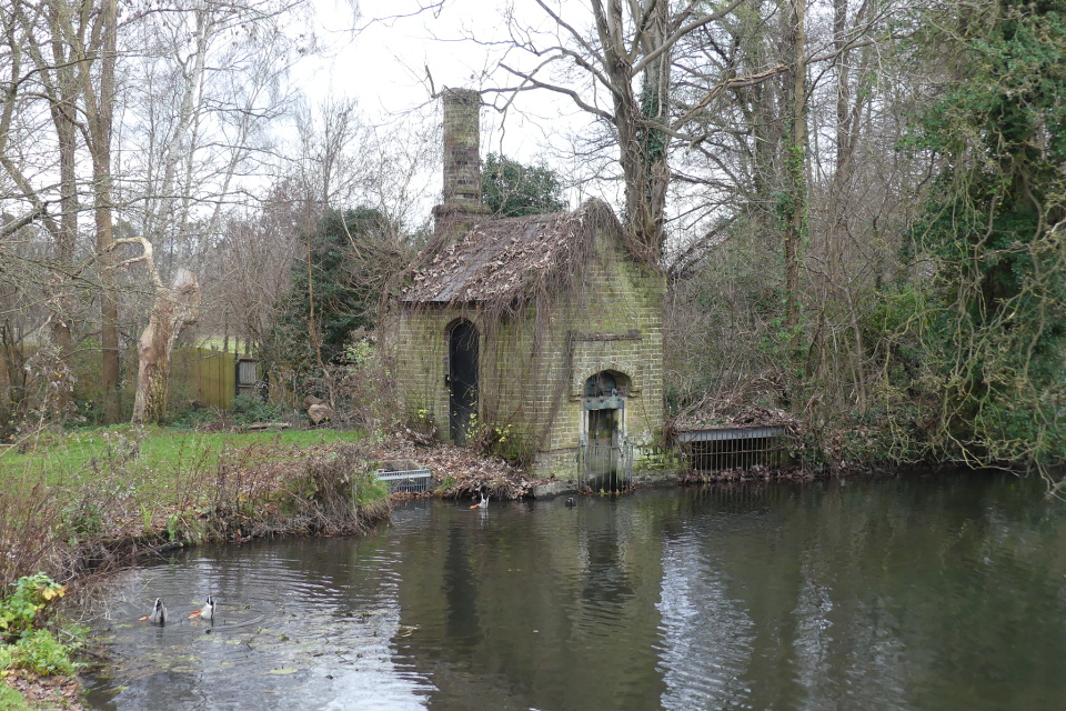 Heads down, tails up, dabbling free serpentine Blipfoto