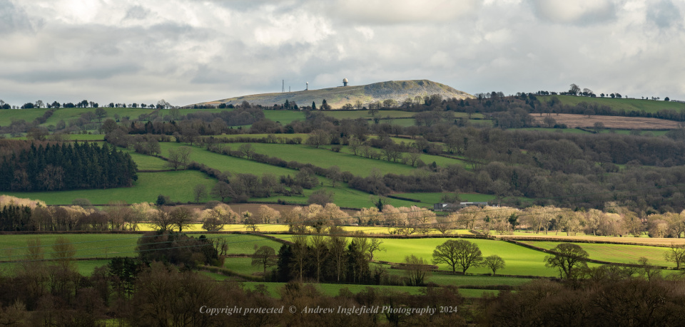 Inleman Some Light | Ingleman | Blipfoto