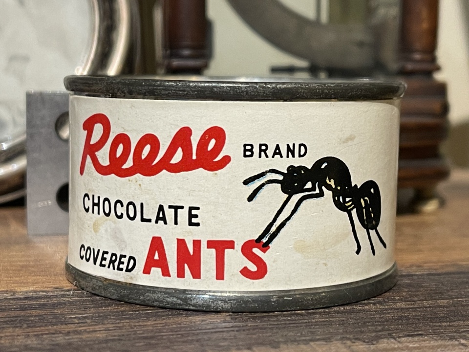 Chocolate Covered Ants ArtistAnnie Blipfoto