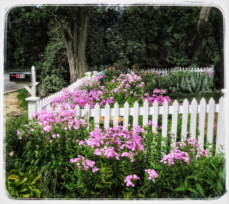 The Dooryard is in Bloom Memories4Me Blipfoto