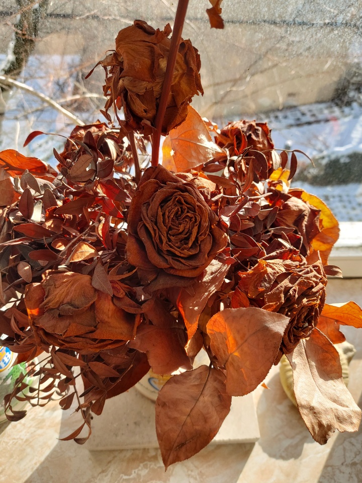 Dried bouquet of roses