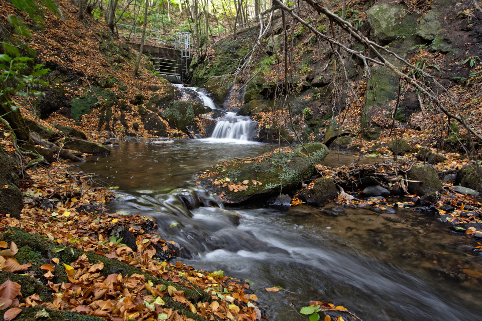 Bilston Glen | magi | Blipfoto