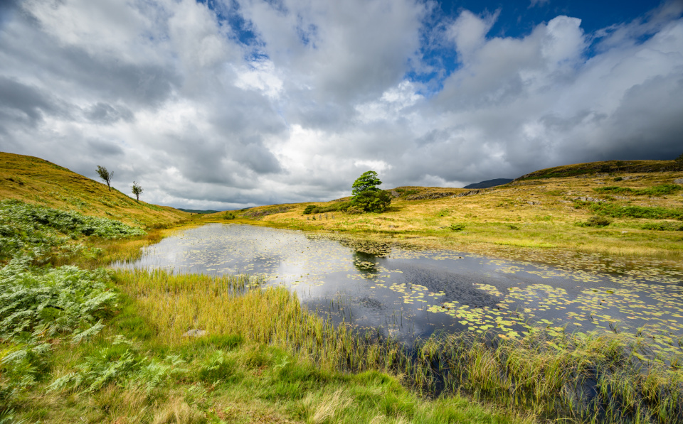 Long Moss Tarn, Near Torver | JohnGravett | Blipfoto