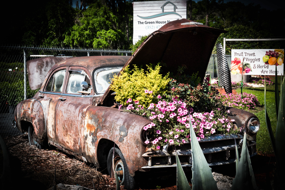 FlowerFriday6_2018: 'What To Do With That Old Car' | maura143 | Blipfoto