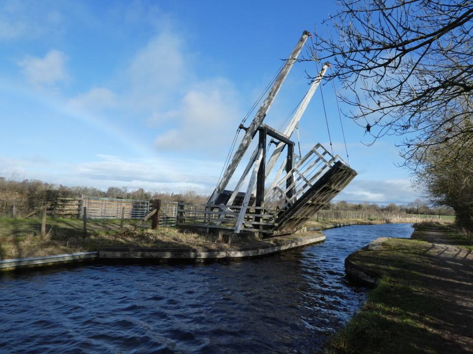 Pull up the drawbridge naturewatcher blipfoto
