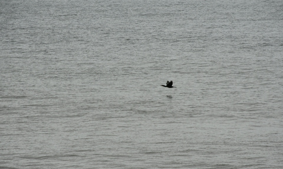 Wet Sonset25 Blipfoto wet-sonset25-blipfoto