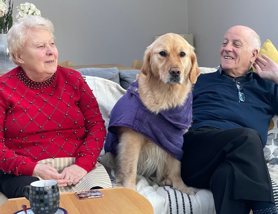 doggy-in-the-middle-damnonii-blipfoto