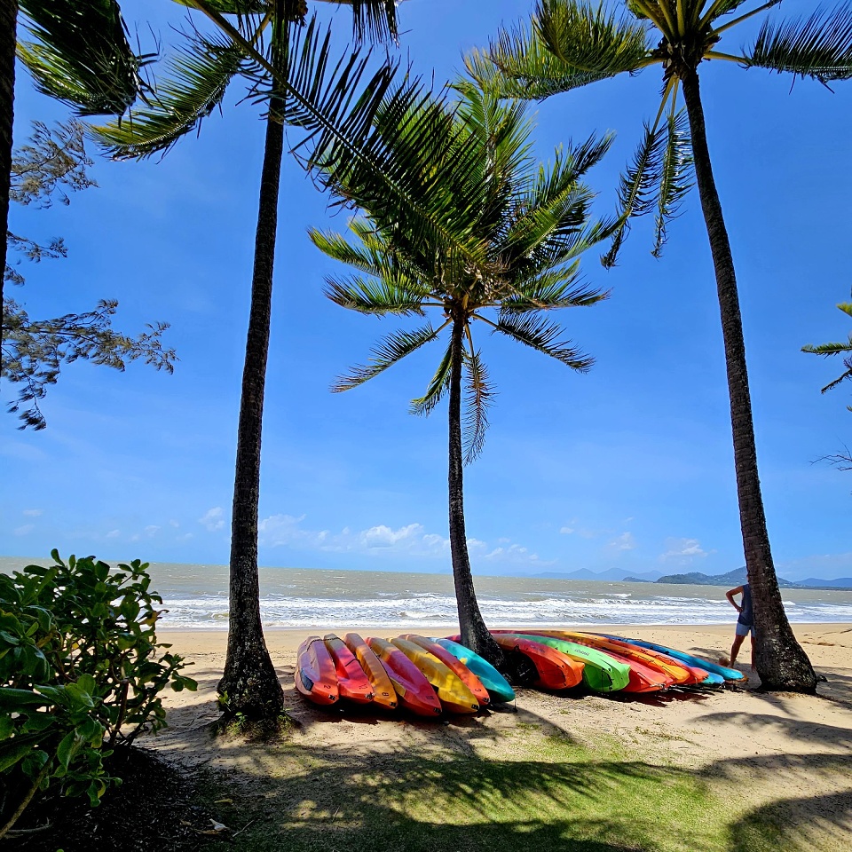 Palm Cove Appreciation Blipfoto Palm Cove Appreciation Blipfoto