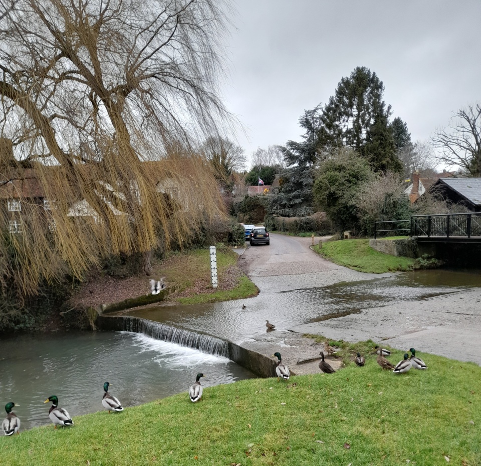 Braughing Ducks | lovenature | Blipfoto