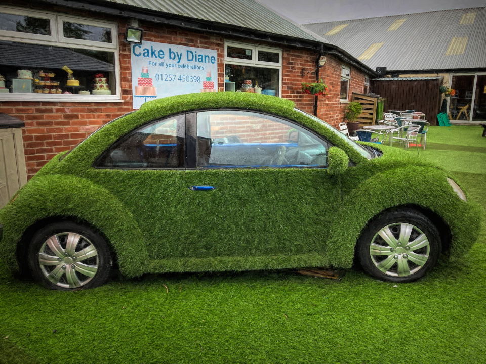 Grass car Green56 Blipfoto