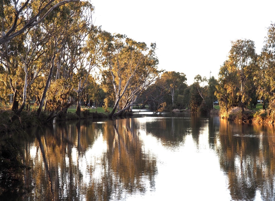 The Banks Of The Condamine Banksiaman Blipfoto