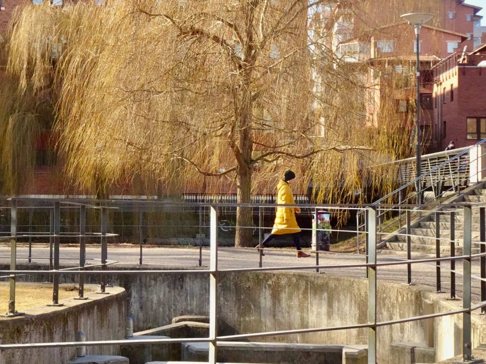 Yellow Spring Scene Yellow spring | heanku | Blipfoto