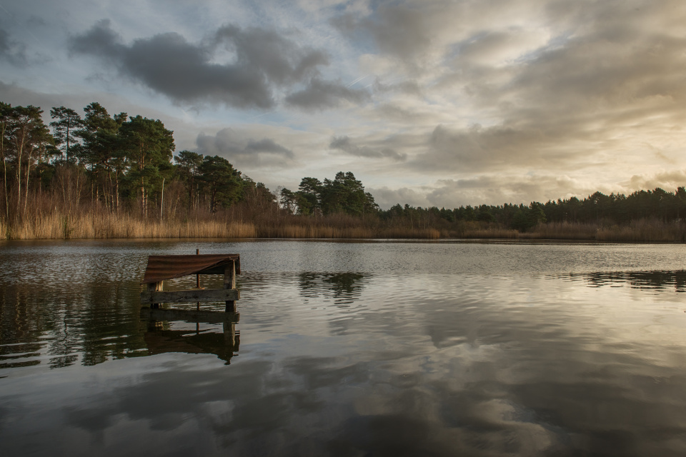 Black Pond, Esher Common NickyR Blipfoto
