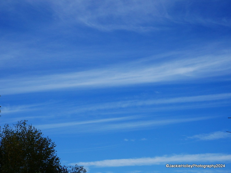 Between ThingsBeautiful Blipfoto