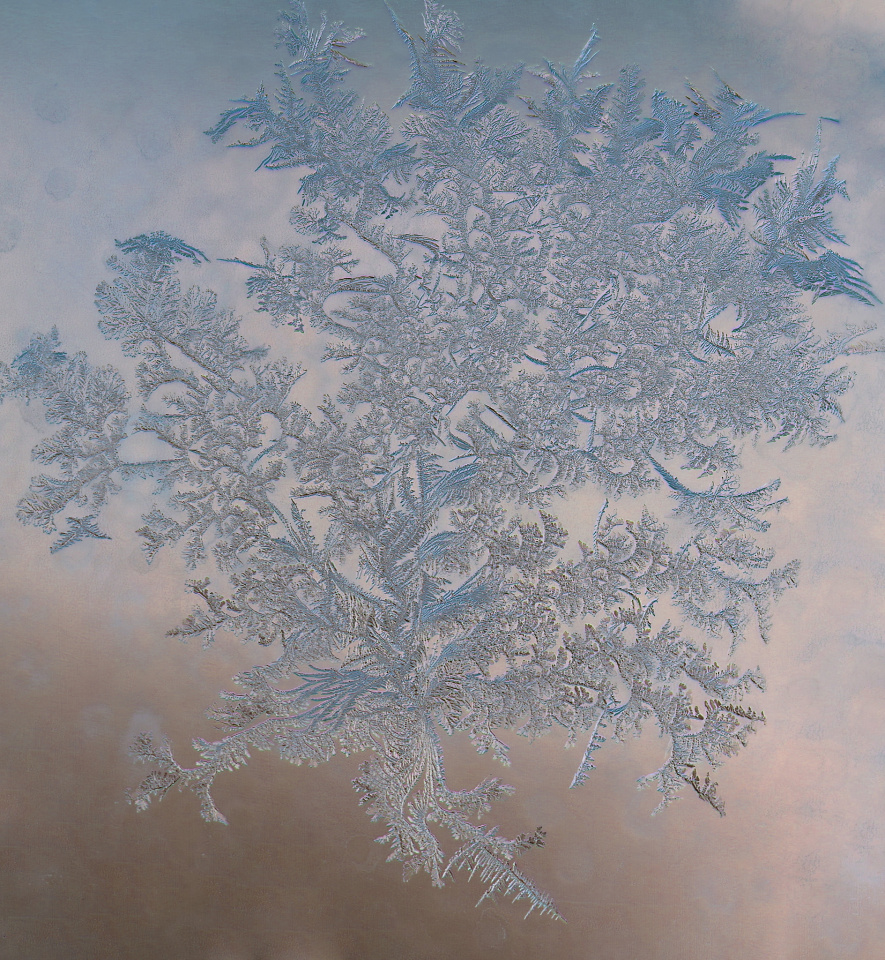 Frost Patterns | DelenaJane | Blipfoto