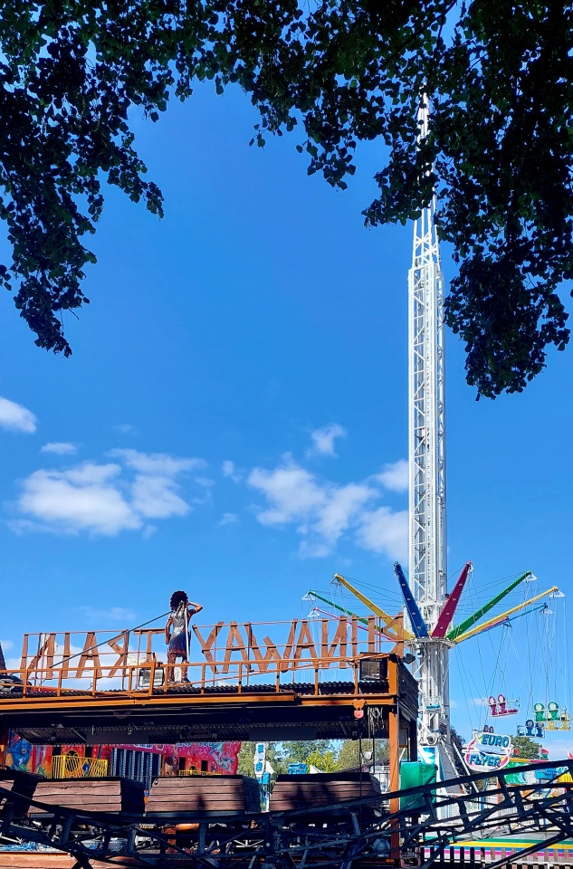 Here comes the fair Caddisfly Blipfoto