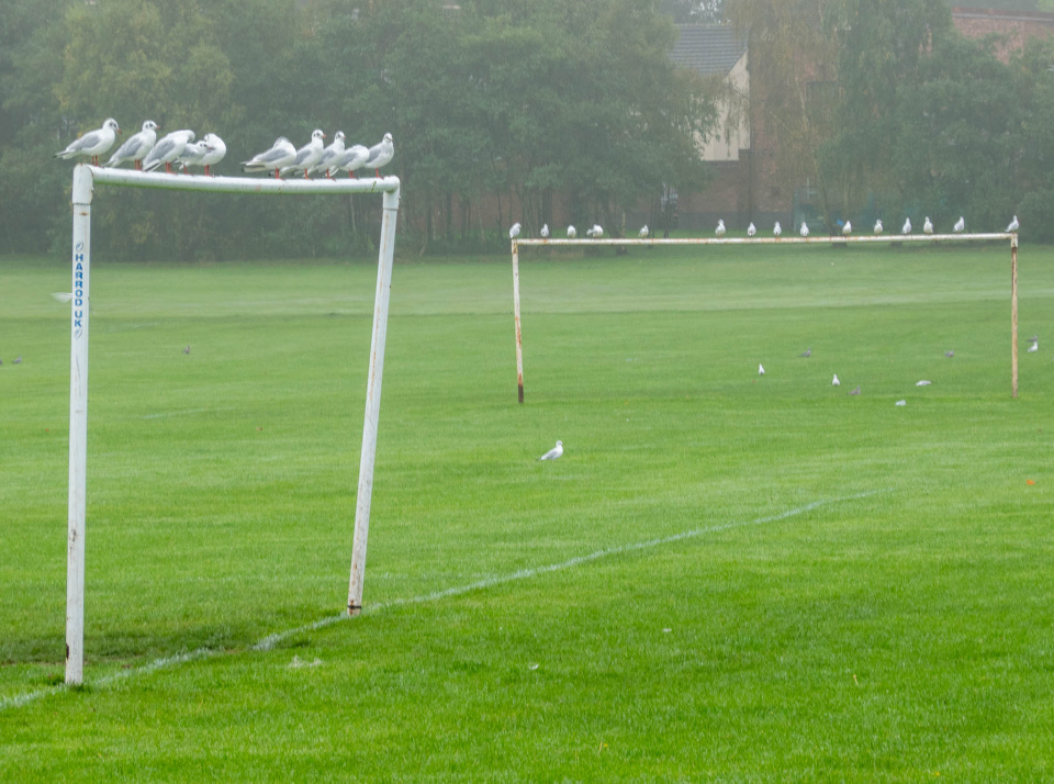 Goal Hangers GrahamColling Blipfoto