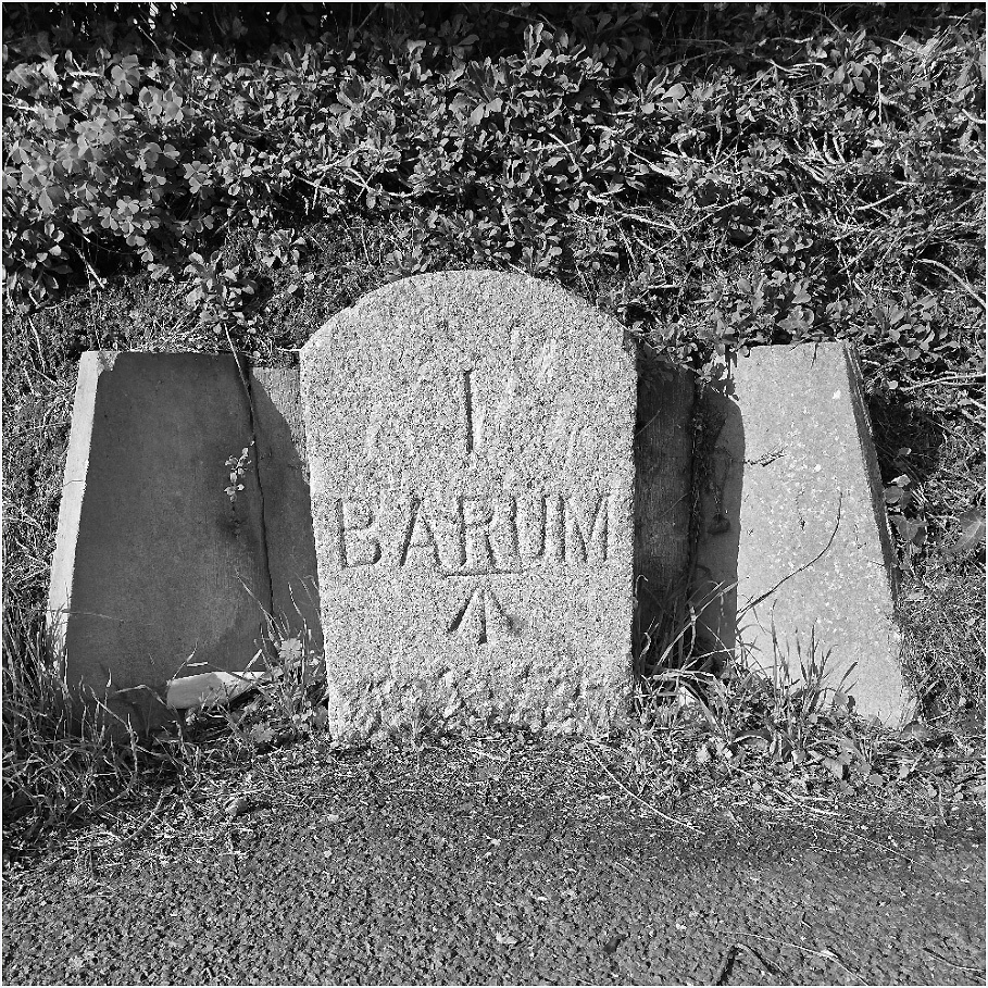 milestone-terrifo-blipfoto