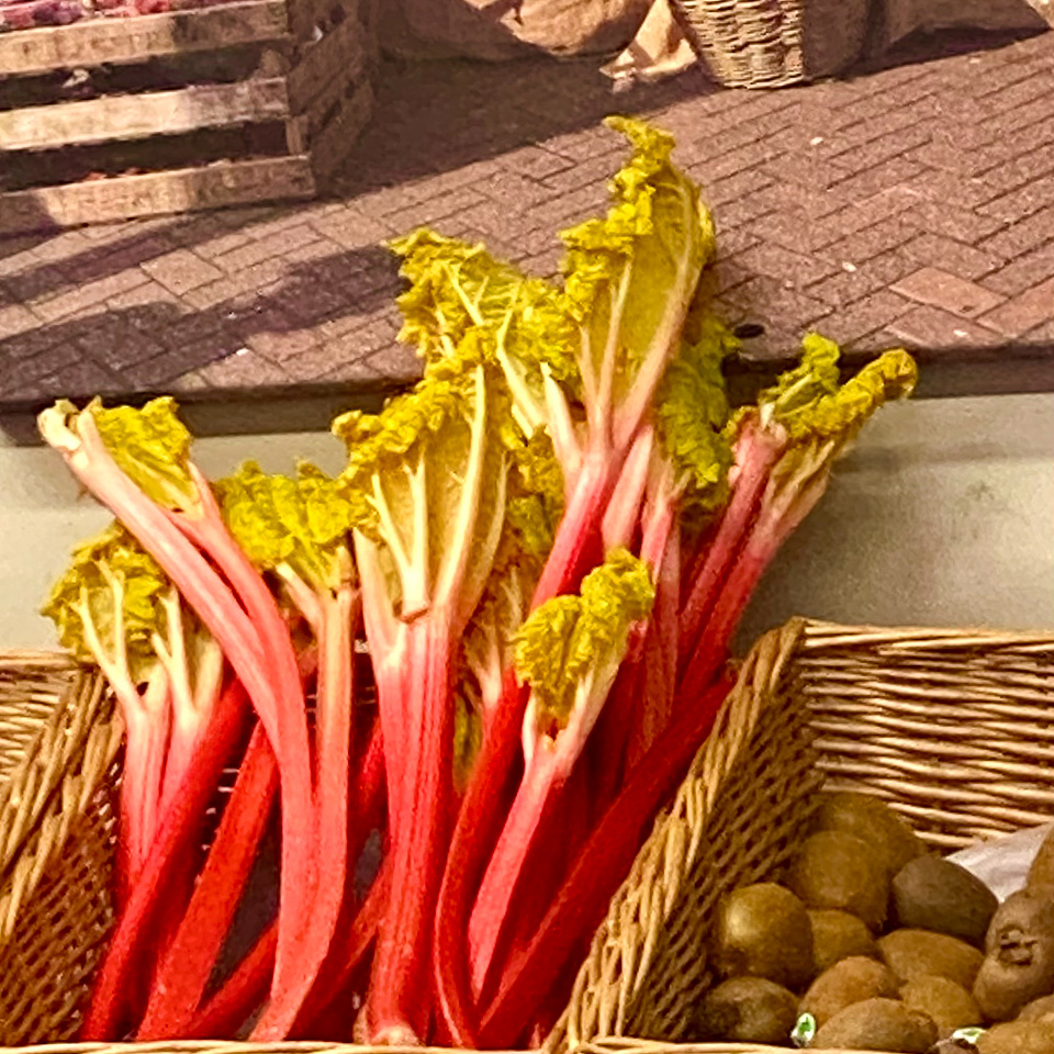 Rhubarb | Snapjax | Blipfoto