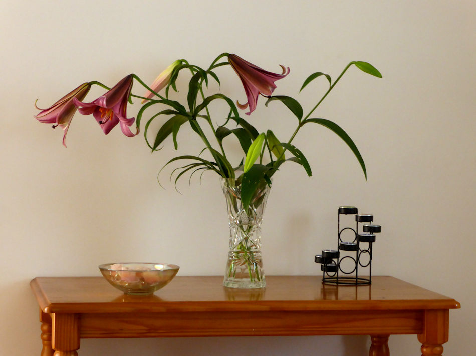 My Sister's Lilies Rosemarie55 Blipfoto