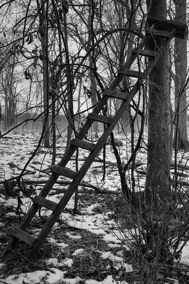 Randomizer In Ladder Random Ladder | MikeWest | Blipfoto