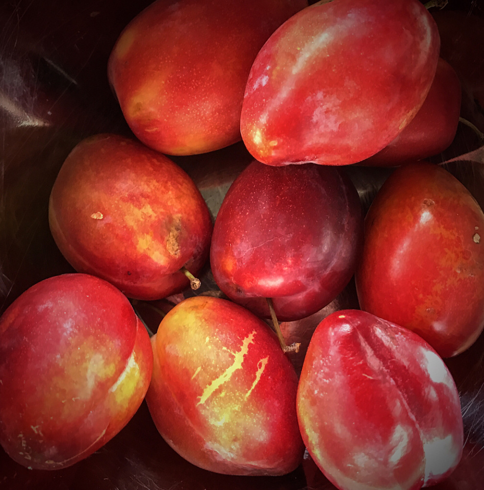 Luisa Plums.... Lizimagiz Blipfoto