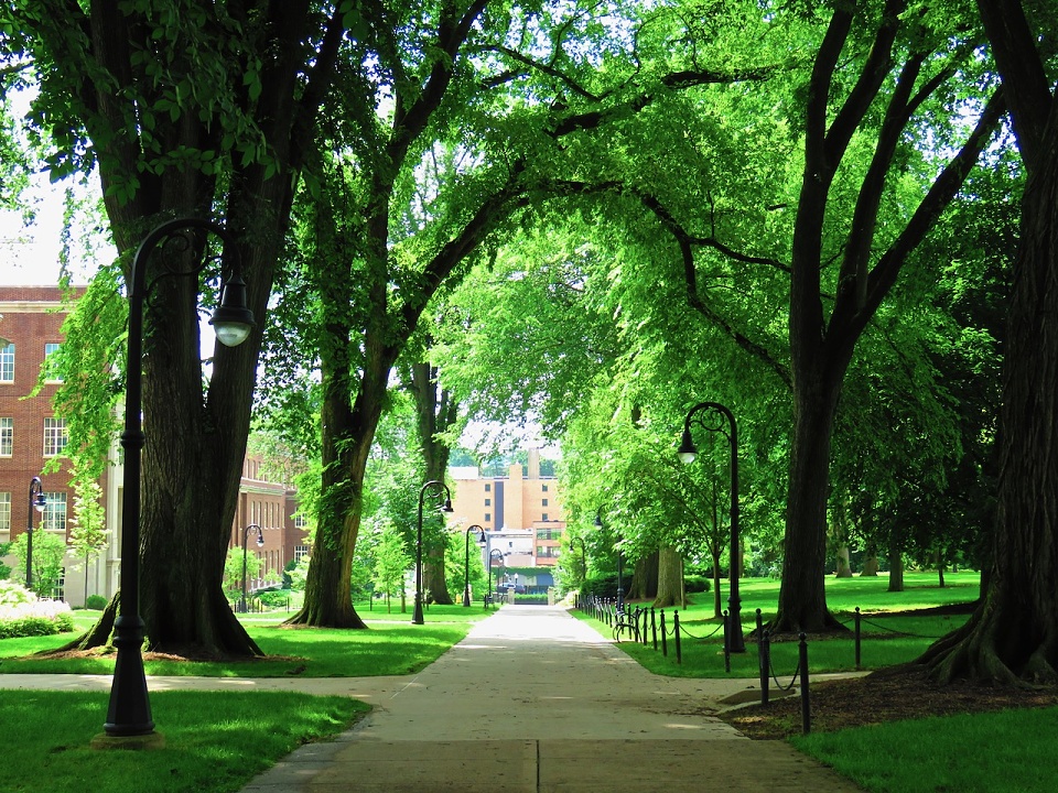 the-green-corridor-girlwithacamera-blipfoto