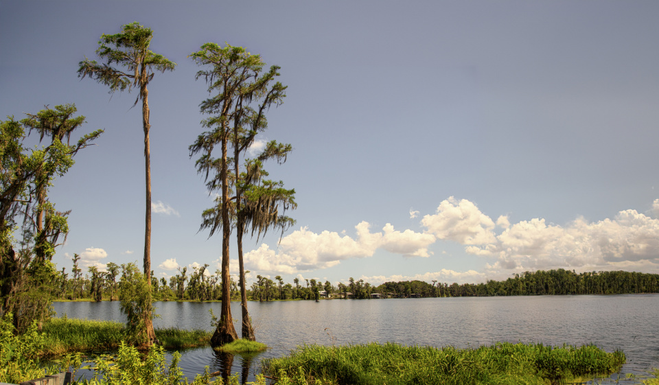 Lake Mineola Clermont FL | bugsman | Blipfoto