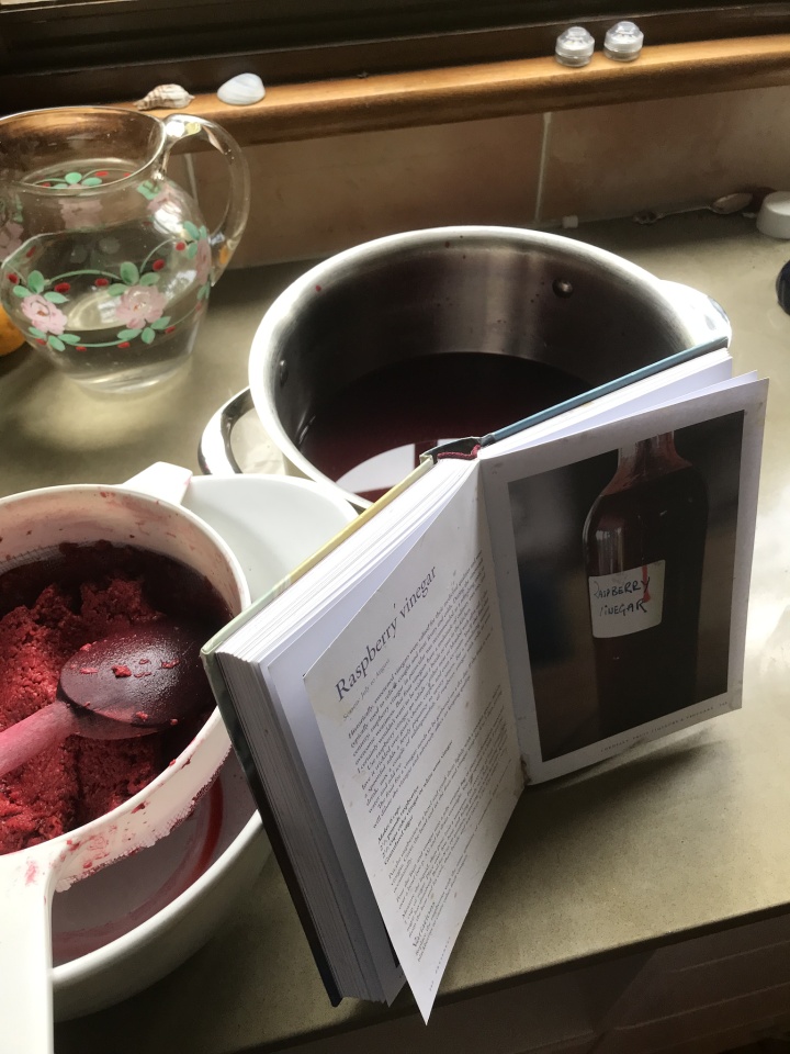 Raspberry vinegar | Pomona | Blipfoto