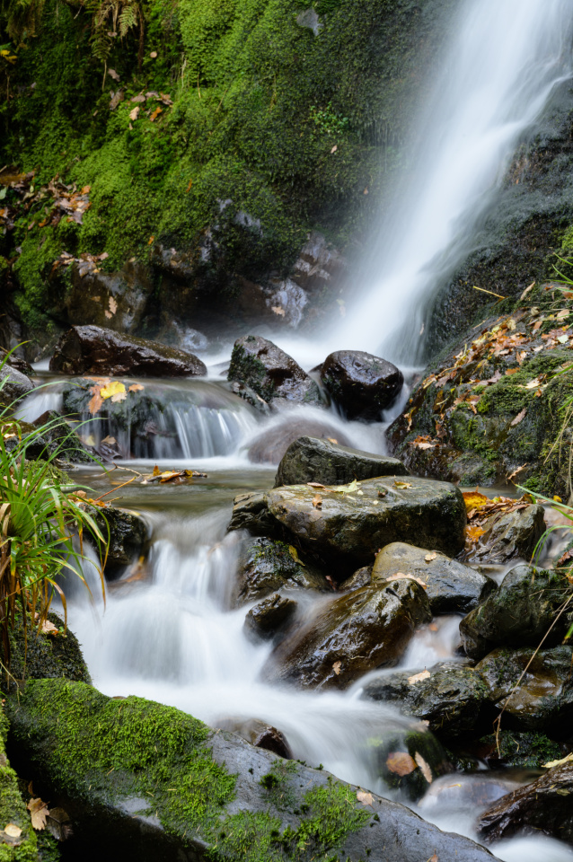 Holme Force, Loweswater | JohnGravett | Blipfoto