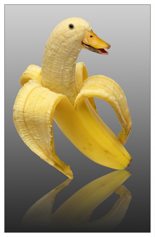 A banana & a duck share 99.9 of their DNA BlueHamish Blipfoto