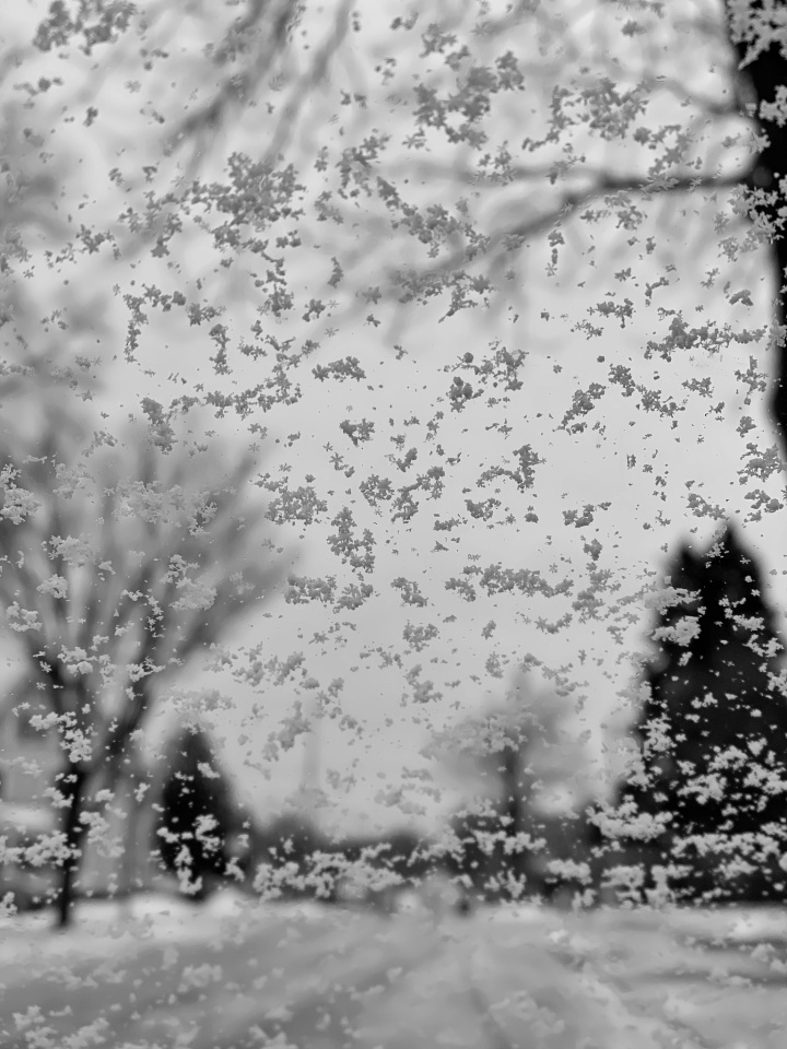 Snow Flurries... | Dfb24 | Blipfoto