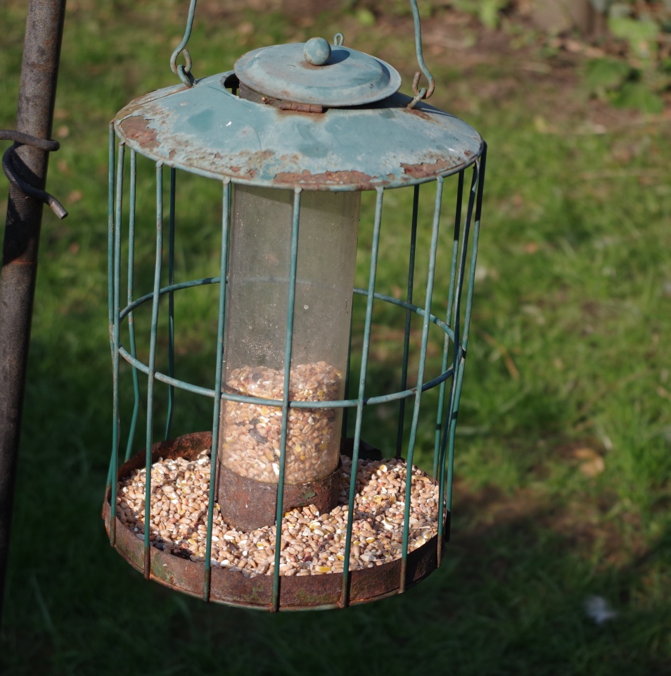 Where Have All The Sparrows Gone Donaldthehat Blipfoto