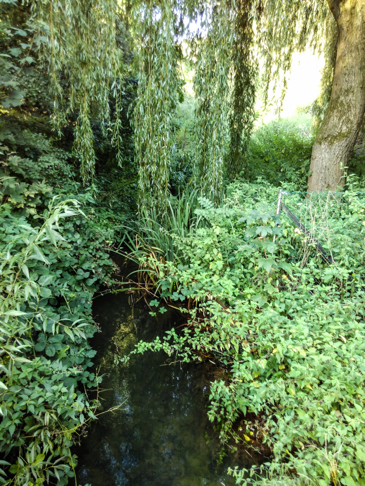 Redhill Brook | ShutterFingers | Blipfoto