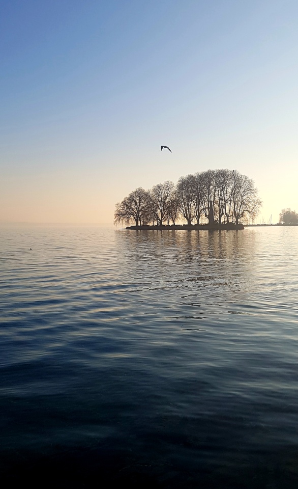 Rings around my father's eyes SwissRoll Blipfoto